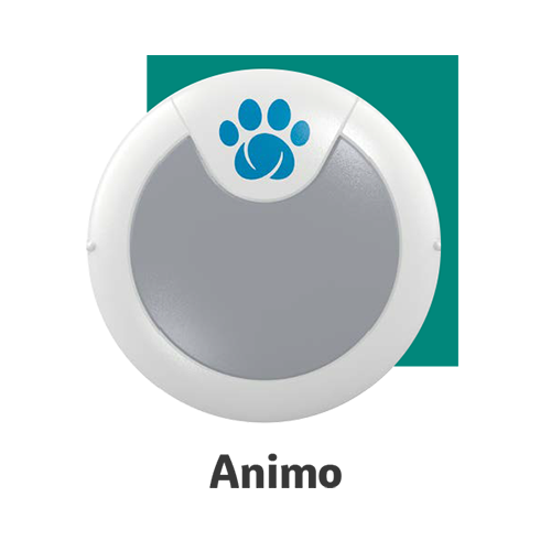 Animo