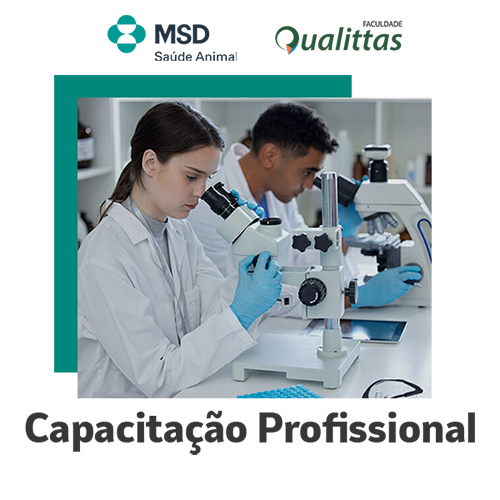 Capacitação Profissional